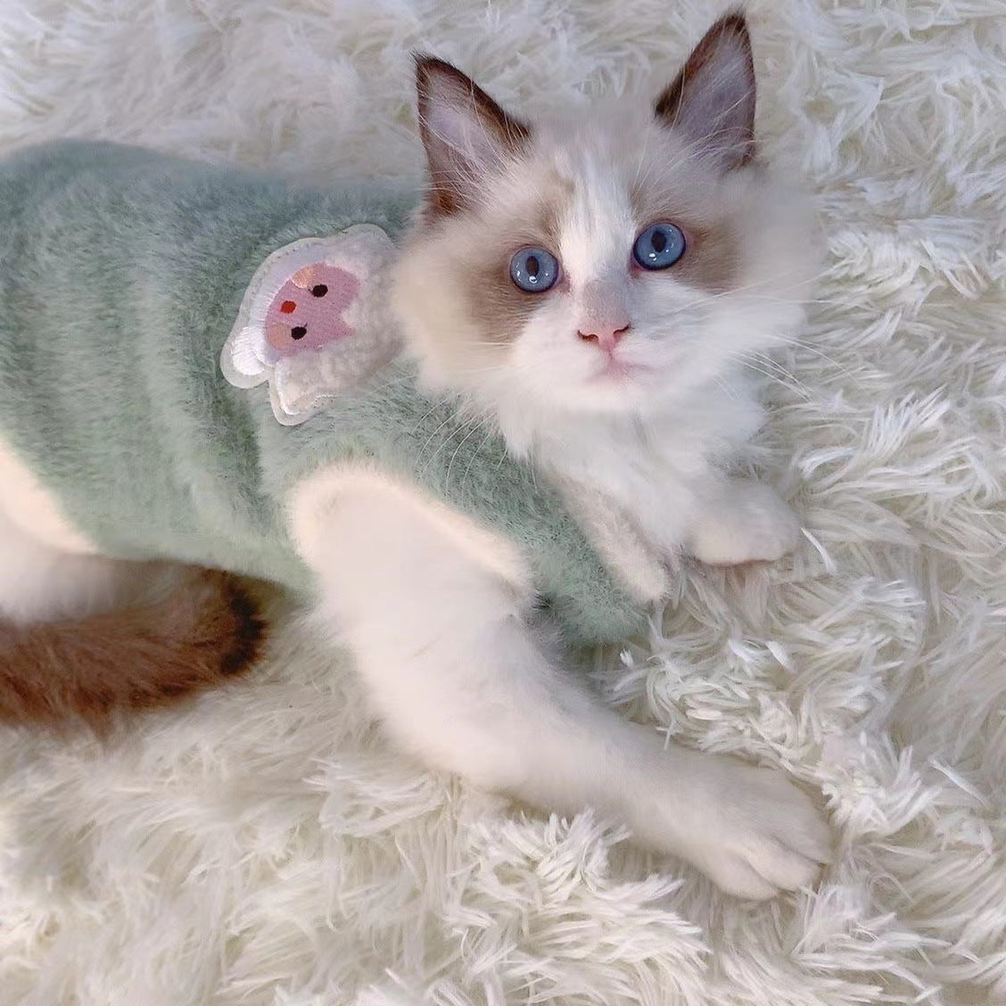 Giacca Peluche Invernale