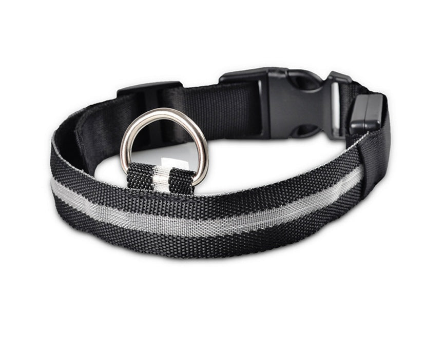 Collare luminoso per cani e gatti in nylon con LED