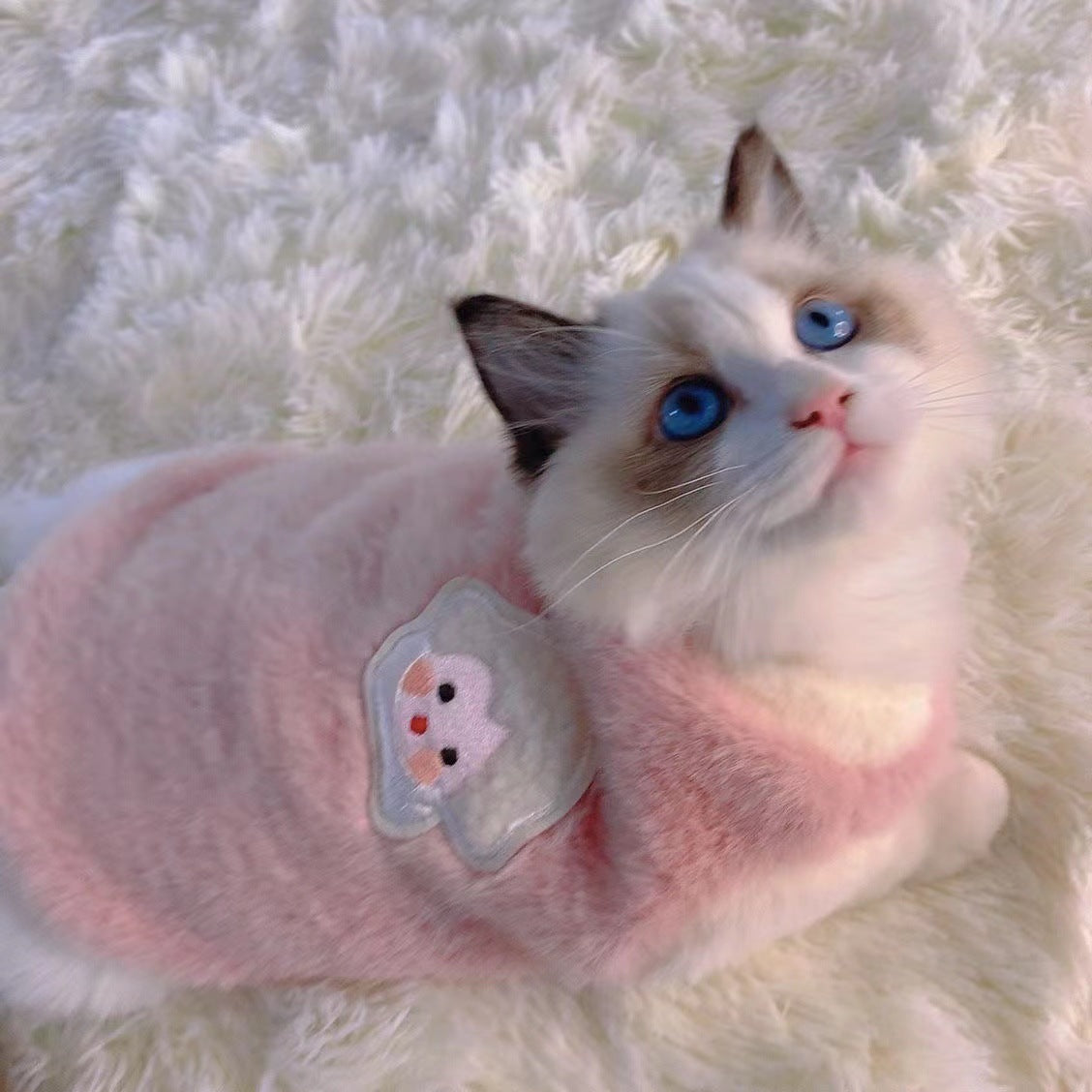 Giacca Peluche Invernale