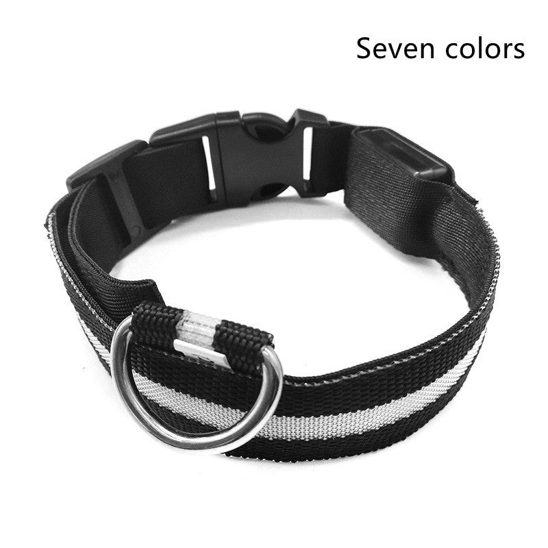 Collare luminoso per cani e gatti in nylon con LED
