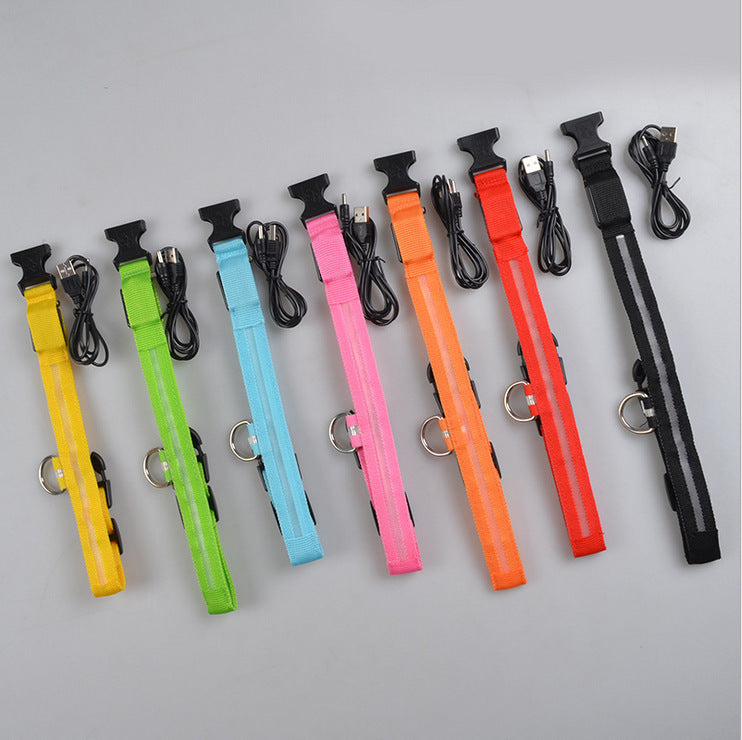 Collare luminoso per cani e gatti in nylon con LED