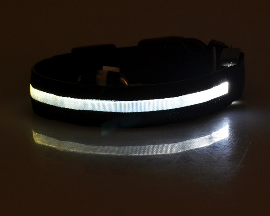 Collare luminoso per cani e gatti in nylon con LED