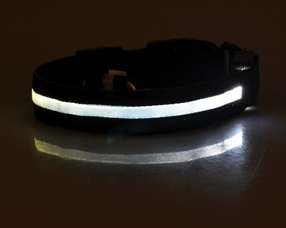Collare luminoso per cani e gatti in nylon con LED