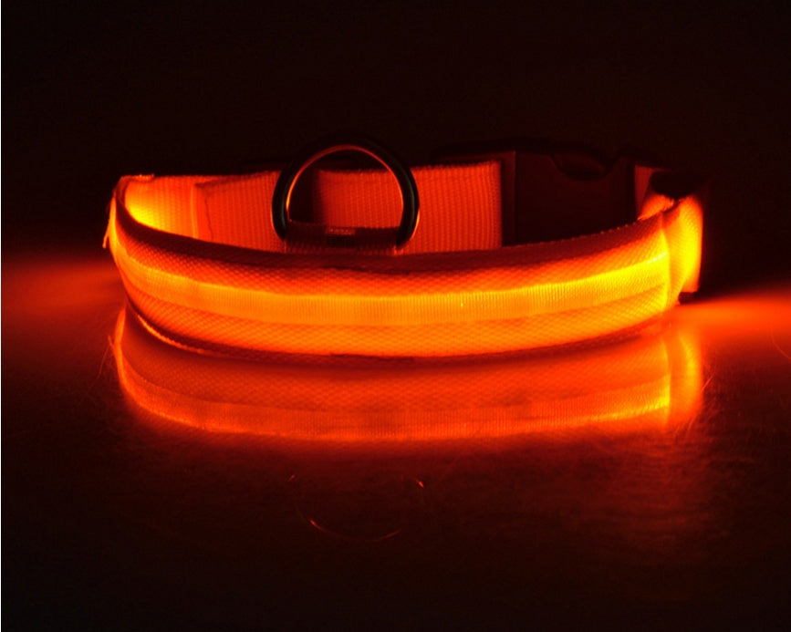 Collare luminoso per cani e gatti in nylon con LED