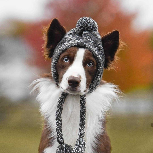 Cappello Invernale alla Moda per Cani – Lavorato a Maglia, Antivento e Morbido con Pompon Polare