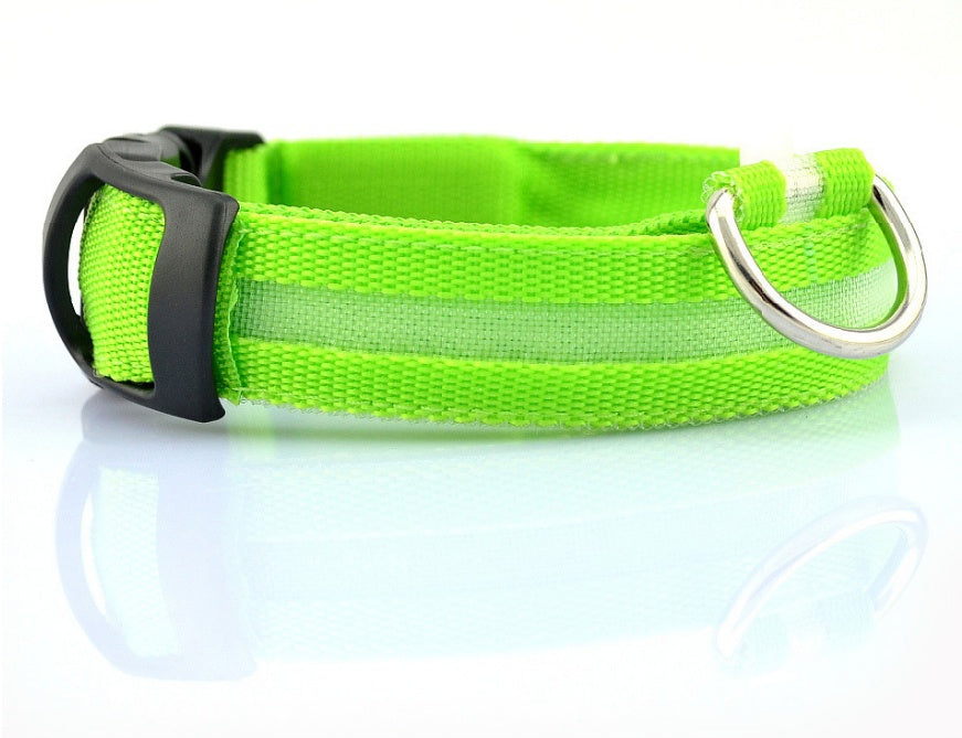 Collare luminoso per cani e gatti in nylon con LED