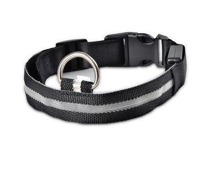 Collare luminoso per cani e gatti in nylon con LED