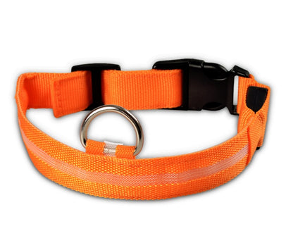Collare luminoso per cani e gatti in nylon con LED