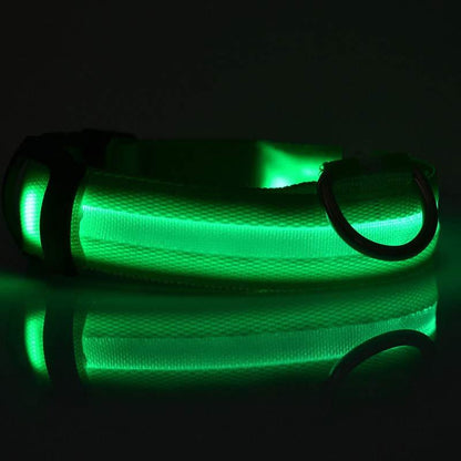 Collare luminoso per cani e gatti in nylon con LED