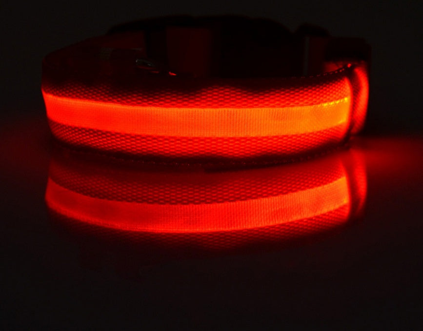 Collare luminoso per cani e gatti in nylon con LED