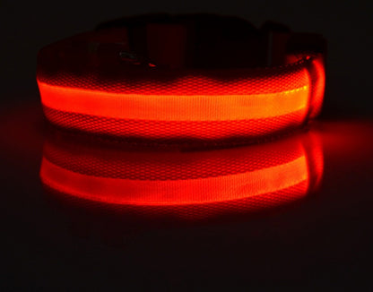 Collare luminoso per cani e gatti in nylon con LED