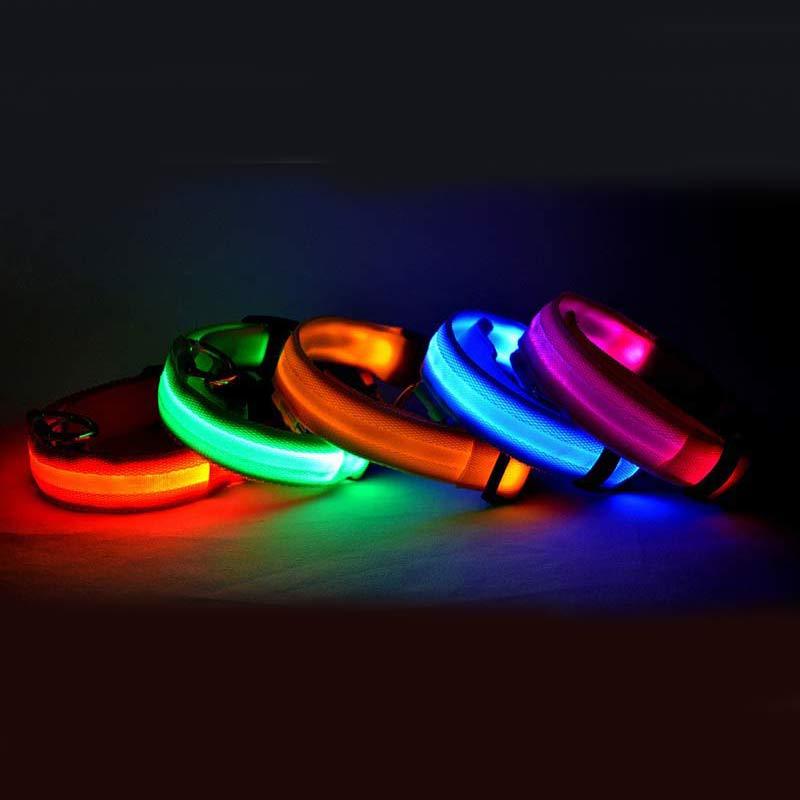 Collare luminoso per cani e gatti in nylon con LED