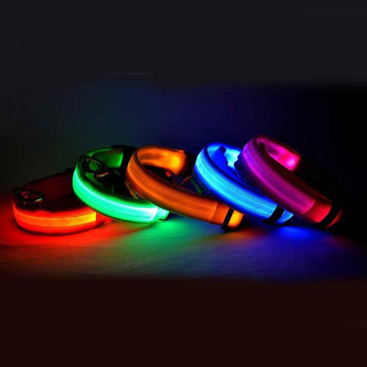 Collare luminoso per cani e gatti in nylon con LED