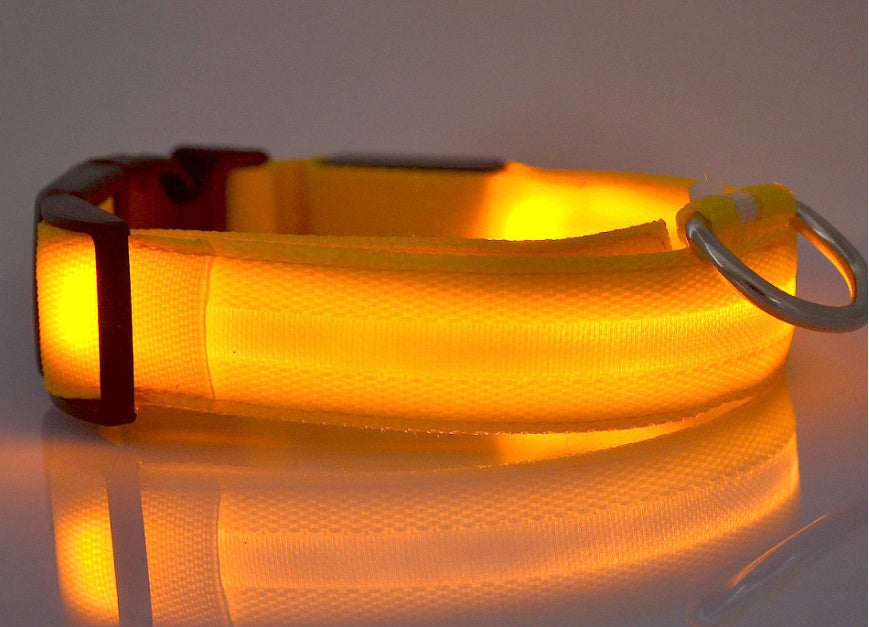 Collare luminoso per cani e gatti in nylon con LED