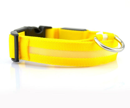 Collare luminoso per cani e gatti in nylon con LED