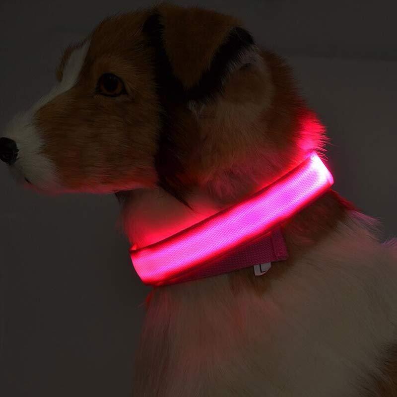 Collare luminoso per cani e gatti in nylon con LED