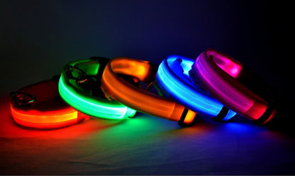 Collare luminoso per cani e gatti in nylon con LED