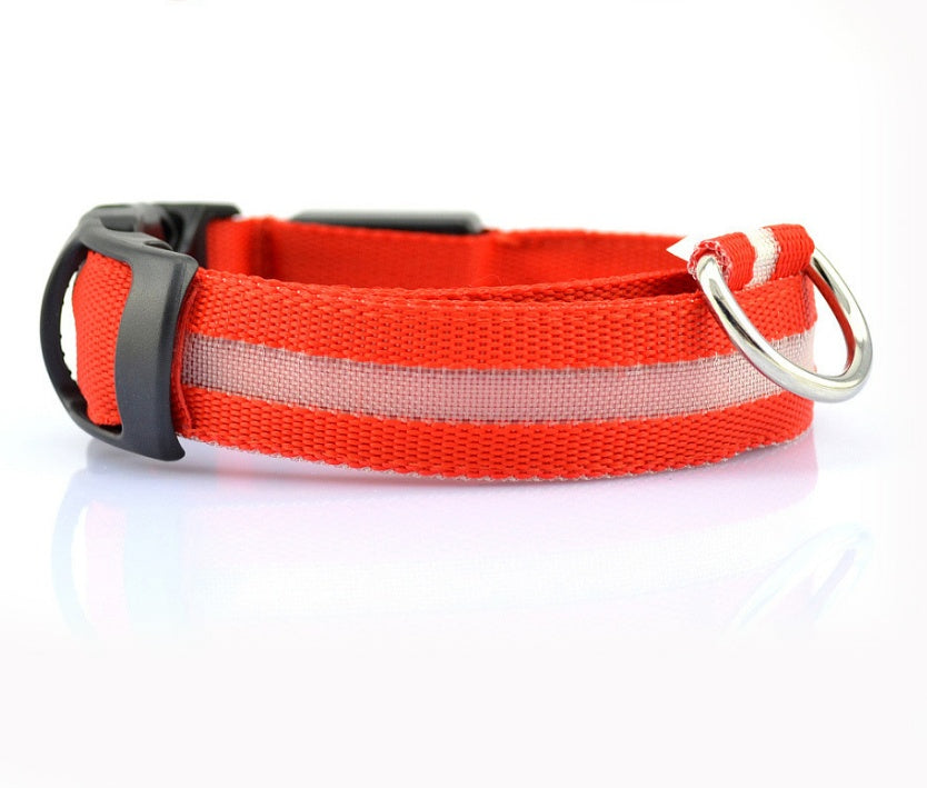 Collare luminoso per cani e gatti in nylon con LED