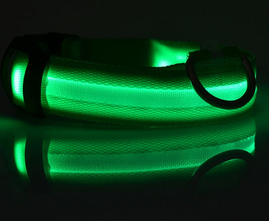 Collare luminoso per cani e gatti in nylon con LED