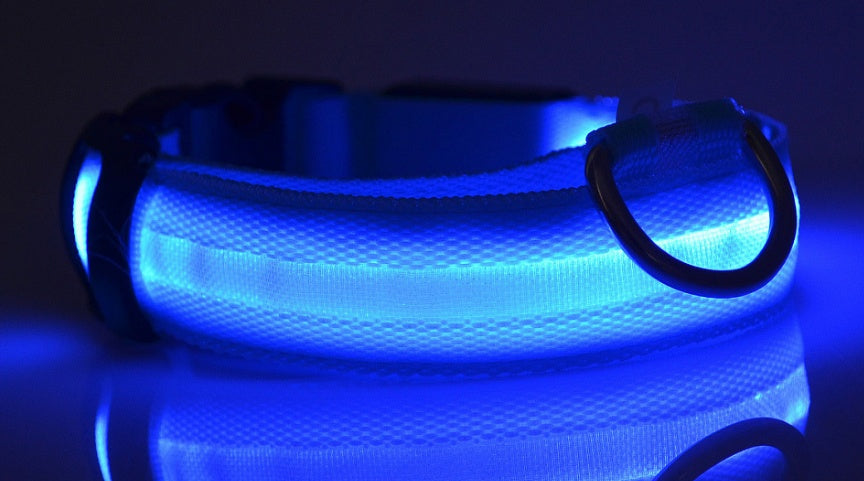 Collare luminoso per cani e gatti in nylon con LED