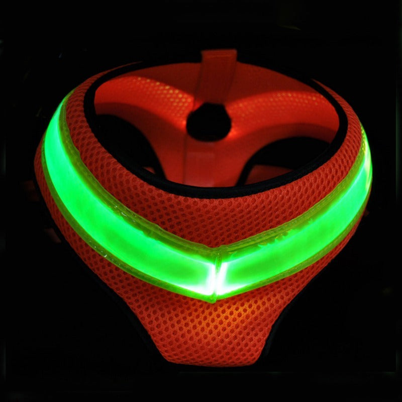 Pettorina per Cani con LED – Rete Traspirante Ricaricabile