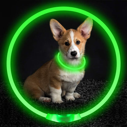 Collare Luminoso per Cani – Collana Elettrica Ricaricabile USB per Passeggiate Notturne