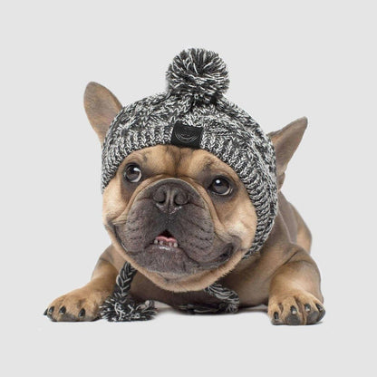 Cappello Invernale alla Moda per Cani – Lavorato a Maglia, Antivento e Morbido con Pompon Polare