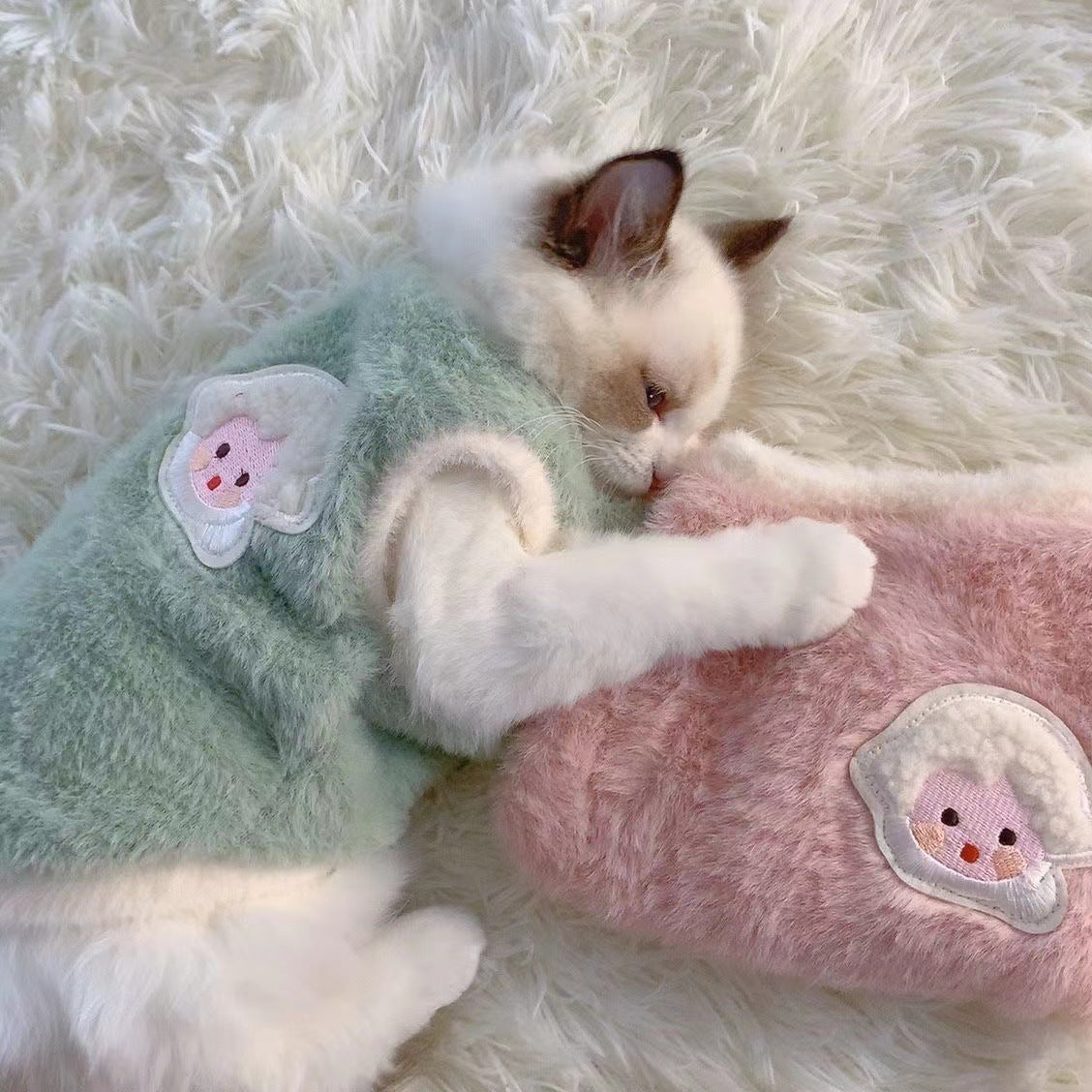 Giacca Peluche Invernale