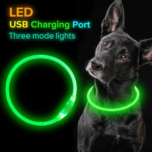 Collare Luminoso per Cani – Collana Elettrica Ricaricabile USB per Passeggiate Notturne