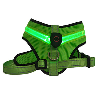Pettorina per Cani con LED – Rete Traspirante Ricaricabile
