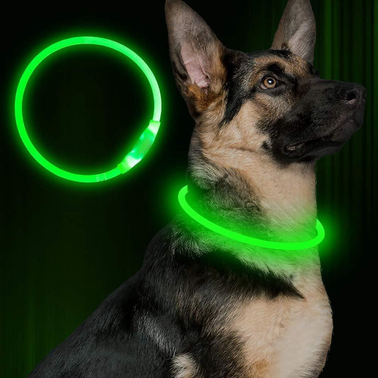 Collare Luminoso per Cani – Collana Elettrica Ricaricabile USB per Passeggiate Notturne